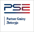 Polskie Sieci Elektroenergetyczne (2)