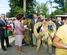 Dożynki gminne 2012 