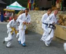 Dożynki 2013 