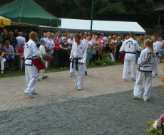 Dożynki 2013 