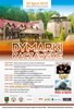 Plakat Dymarki Kaczawskie 2019 maly