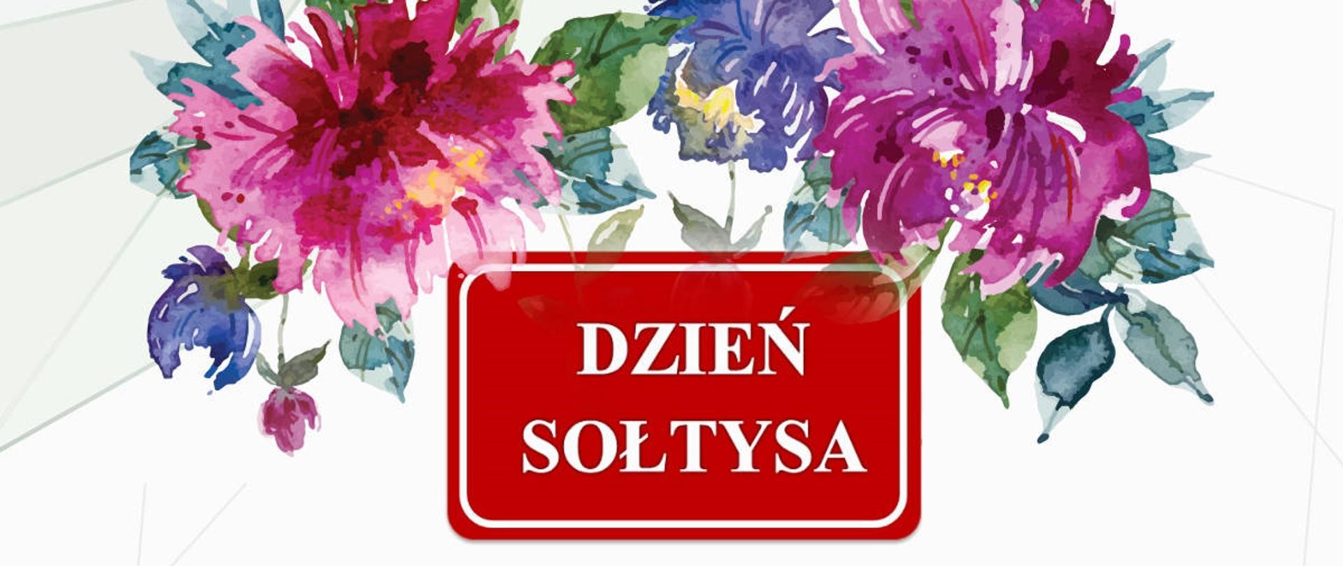 dzien soltysa